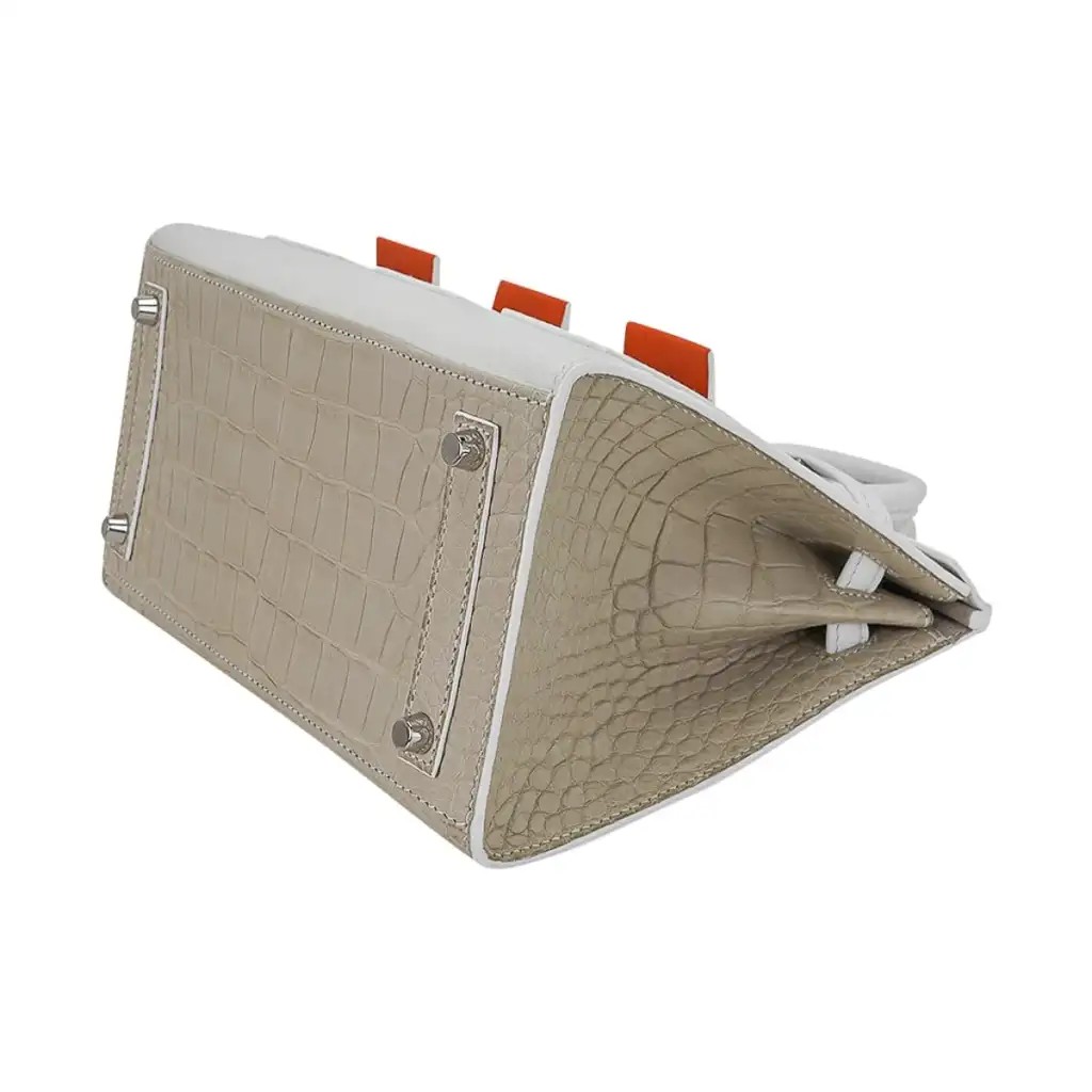 Hermes Limited Edition Birkin 20 Faubourg Sellier Bag Neige (Snow) White Matte Alligator - Image 13