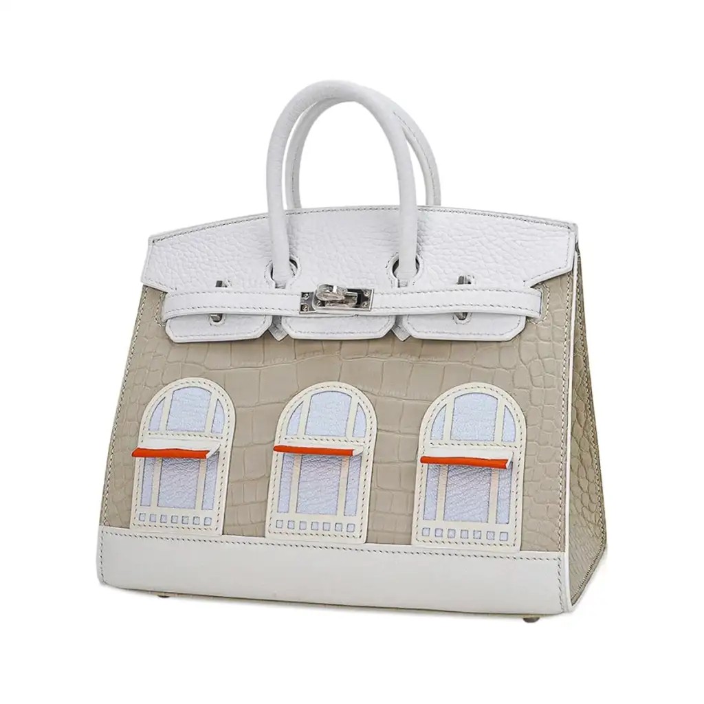 Hermes Limited Edition Birkin 20 Faubourg Sellier Bag Neige (Snow) White Matte Alligator - Image 4