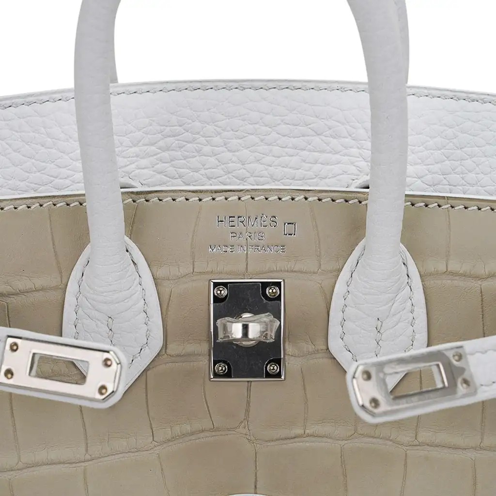 Hermes Limited Edition Birkin 20 Faubourg Sellier Bag Neige (Snow) White Matte Alligator - Image 7