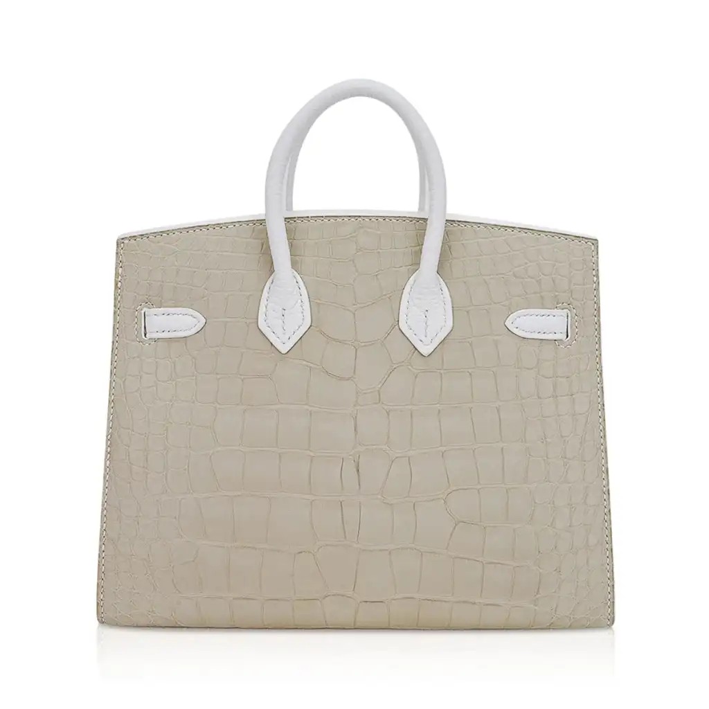 Hermes Limited Edition Birkin 20 Faubourg Sellier Bag Neige (Snow) White Matte Alligator - Image 9