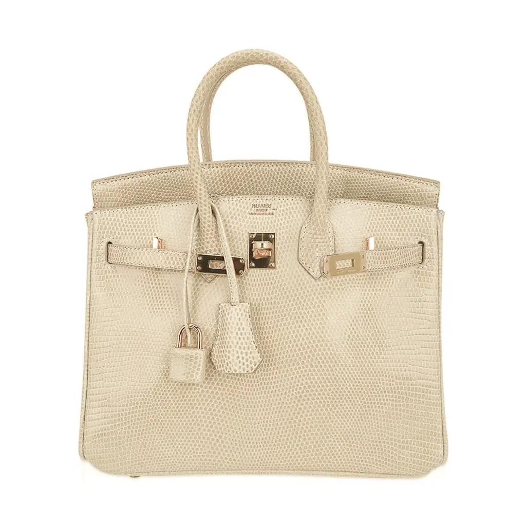 Hermes Limited Edition Birkin 25 Bag Blanc Casse Lizard with Gold Hardware - Image 3