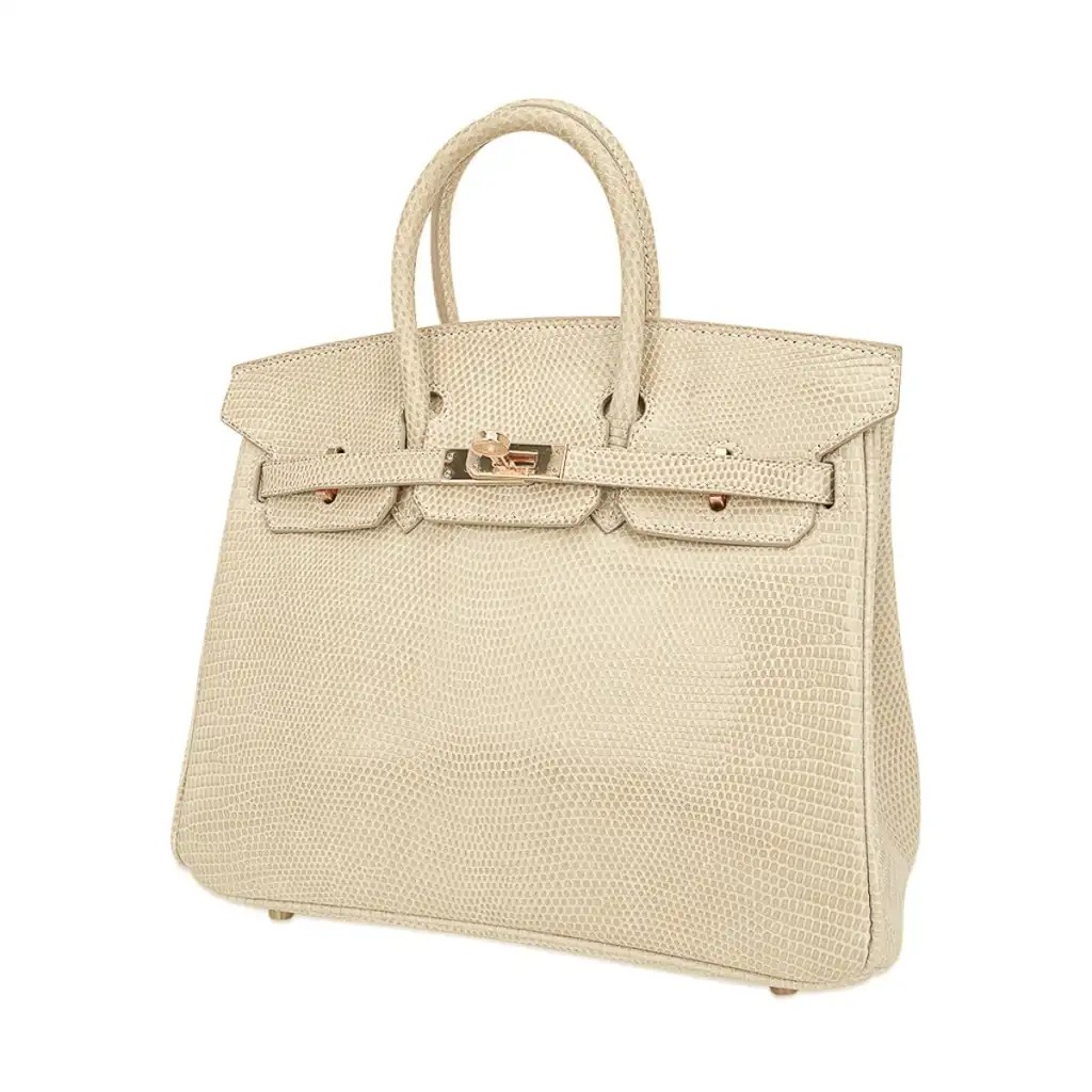 Hermes Limited Edition Birkin 25 Bag Blanc Casse Lizard with Gold Hardware - Image 4