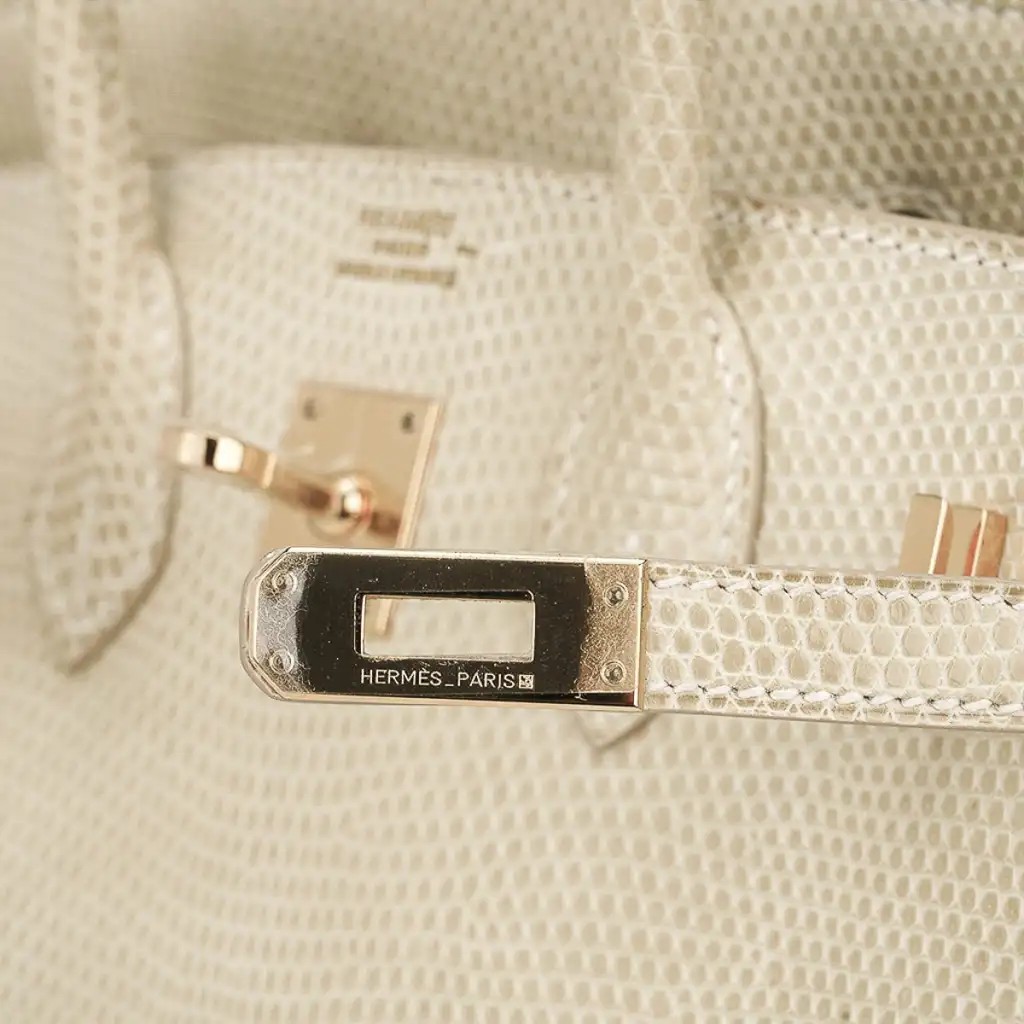 Hermes Limited Edition Birkin 25 Bag Blanc Casse Lizard with Gold Hardware - Image 5