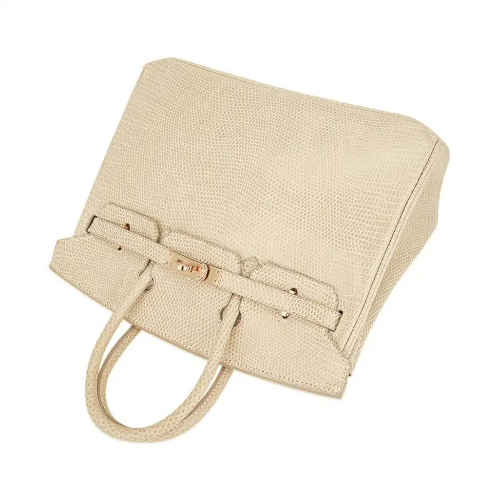 Hermes Limited Edition Birkin 25 Bag Blanc Casse Lizard with Gold Hardware - Image 6