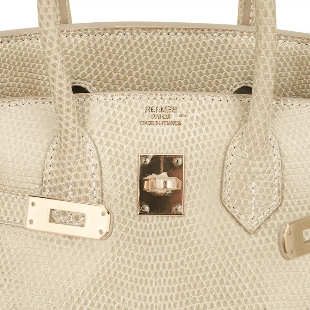 Hermes Limited Edition Birkin 25 Bag Blanc Casse Lizard with Gold Hardware - Image 7