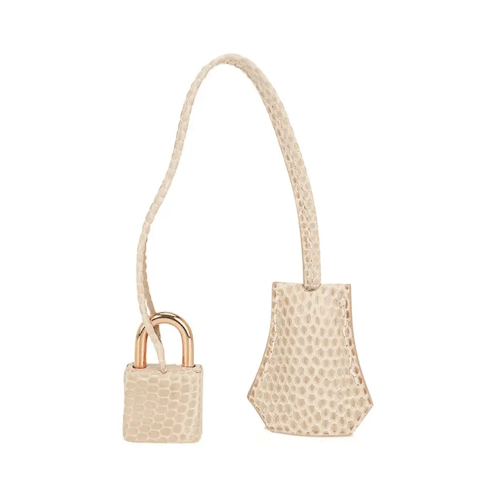 Hermes Limited Edition Birkin 25 Bag Blanc Casse Lizard with Gold Hardware - Image 9
