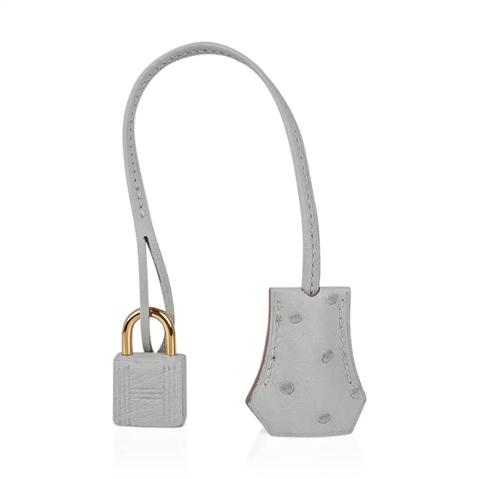Hermes Birkin 30 Bag Gris Perle Ostrich with Gold Hardware - Image 5