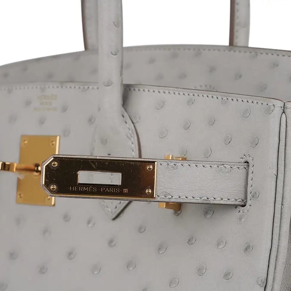 Hermes Birkin 30 Bag Gris Perle Ostrich with Gold Hardware - Image 6
