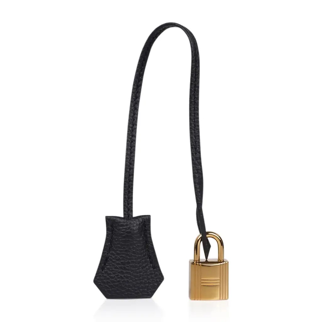 Hermes Limited Edition Birkin 35 Bag Plomb (Off Black) Togo Leather with Gold Hardware - Image 9