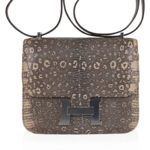 Hermes Limited Edition Mini Constance 18 Desert Lizard Palladium Hardware